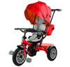 Rowerek trójkołowy dla dzieci wózek spacerówka z daszkiem PRO800 czerwony
