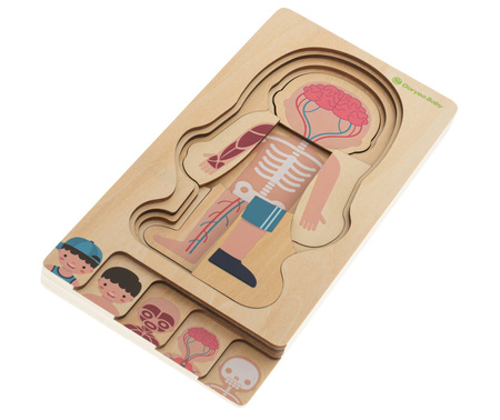 Drewniane puzzle edukacyjne dla dzieci warstwowe Budowa ciała Anatomia człowieka Montessori chłopiec