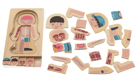 Drewniane puzzle edukacyjne dla dzieci warstwowe Budowa ciała Anatomia człowieka Montessori chłopiec