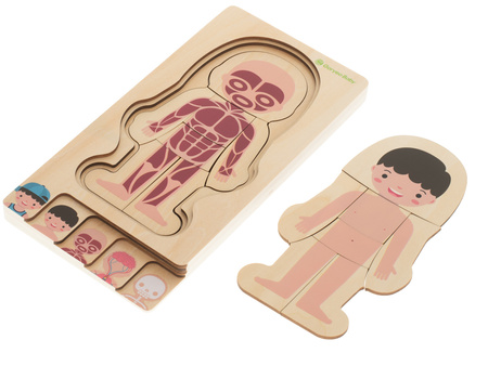 Drewniane puzzle edukacyjne dla dzieci warstwowe Budowa ciała Anatomia człowieka Montessori chłopiec