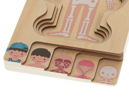 Drewniane puzzle edukacyjne dla dzieci warstwowe Budowa ciała Anatomia człowieka Montessori chłopiec