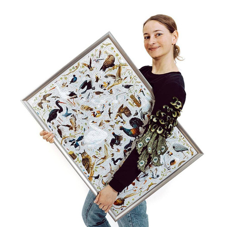 Puzzlove Czuczu Puzzle 500 elementów - Ptaki
